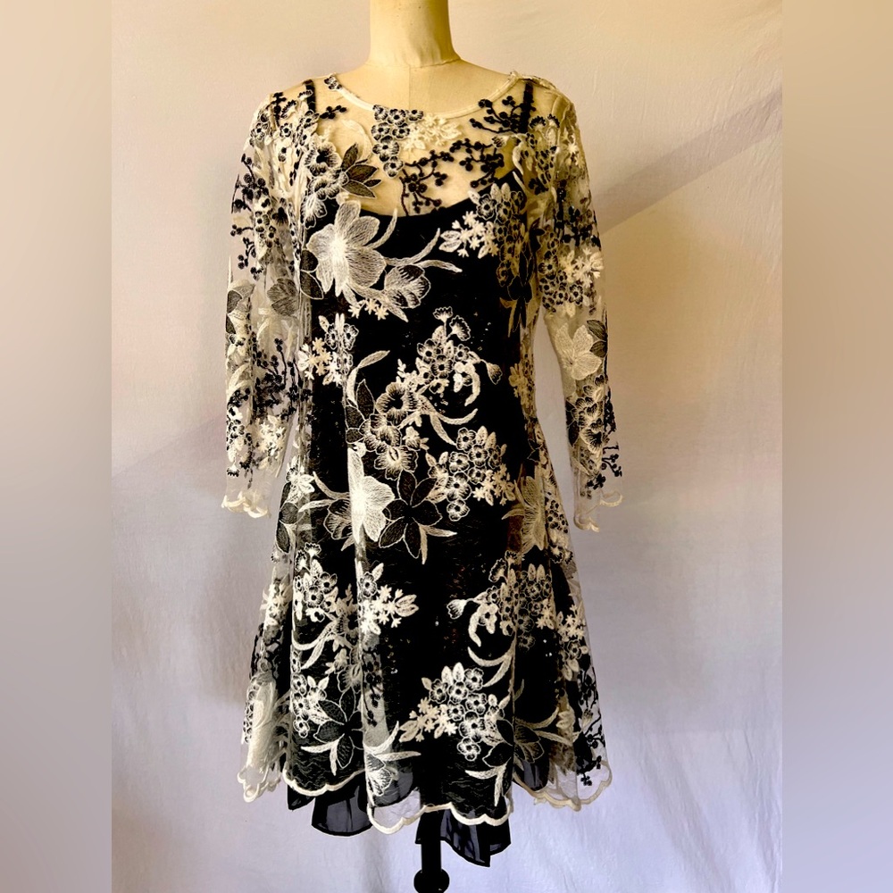 Unique, Versatile Tunic/Dress from Staples USA Comes with Two Underslips